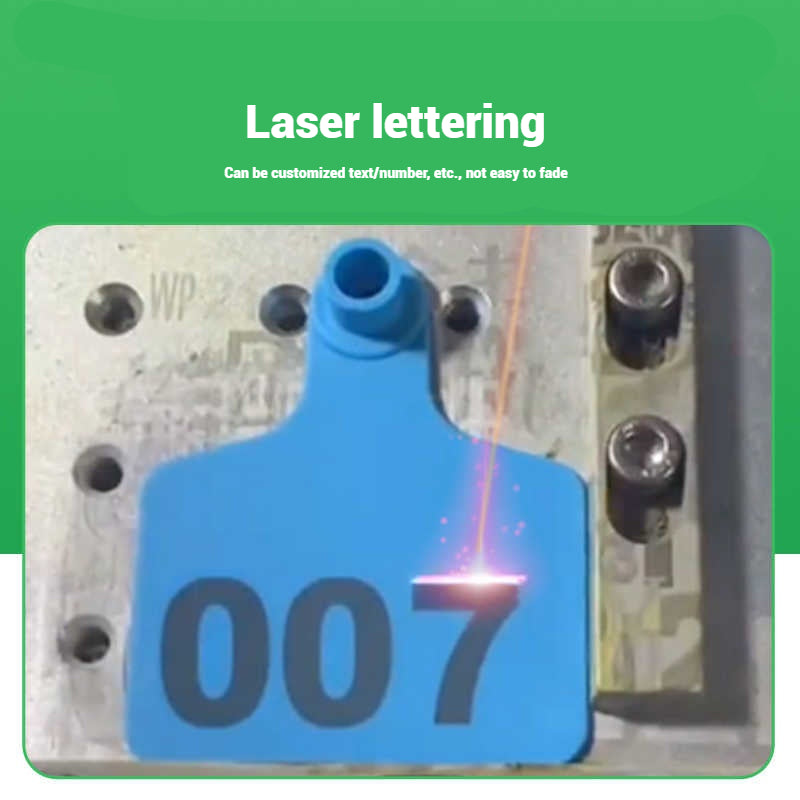 100 Pcs Bull Ear Tag Boards Thickened Animal Ear tag boards Farm Animal Ldentification Management Boards Bull ear tags